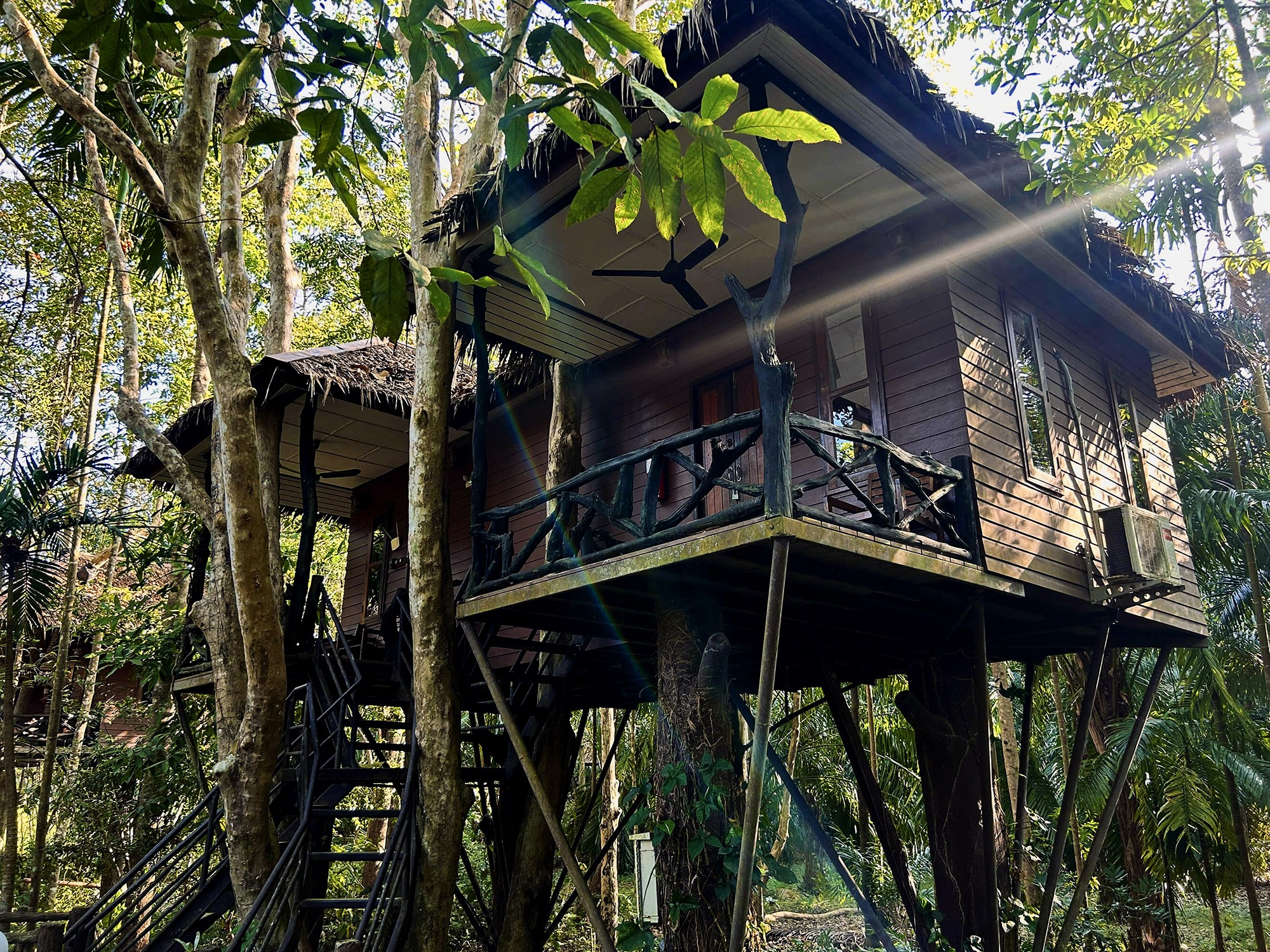 Family Tree House