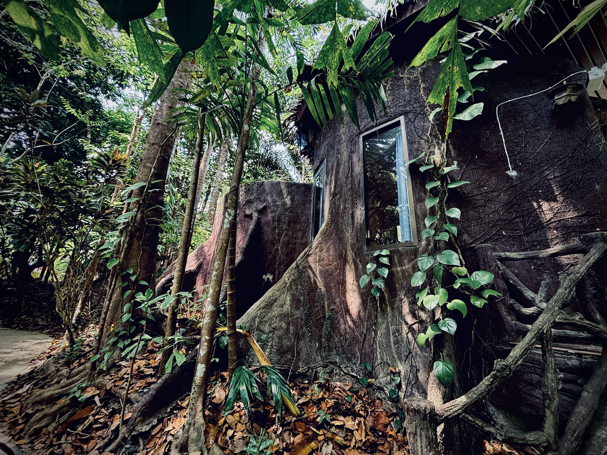 Honeymoon Tree Hut
