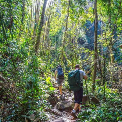 Randonnées dans la jungle