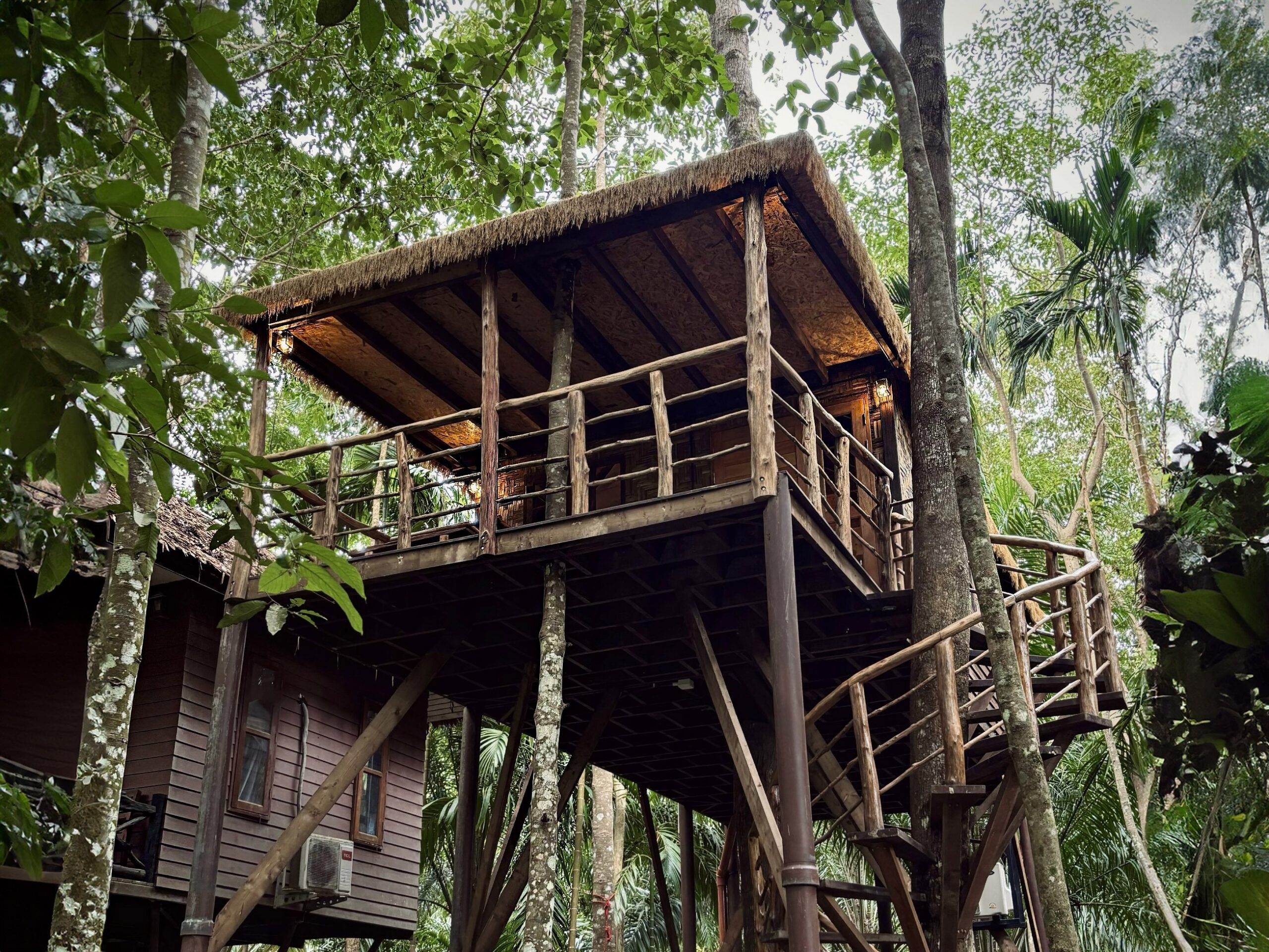 Treetop Mansion