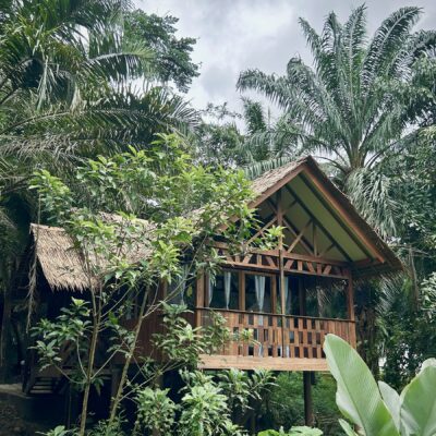 Family Jungle House