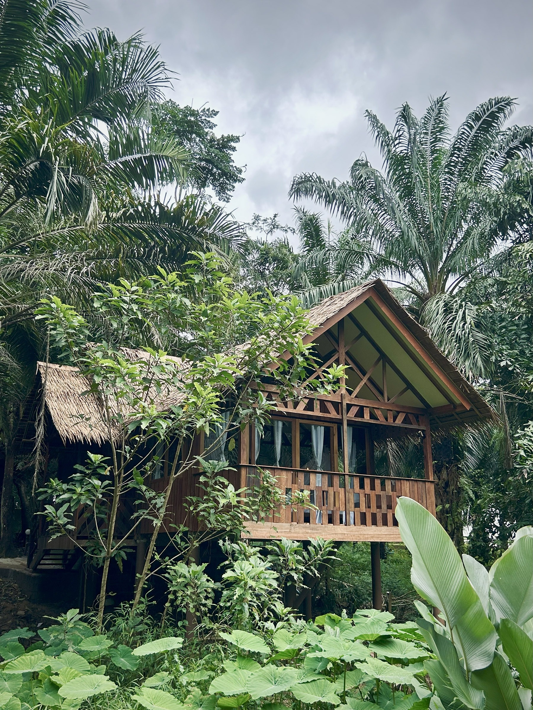 Family Jungle House