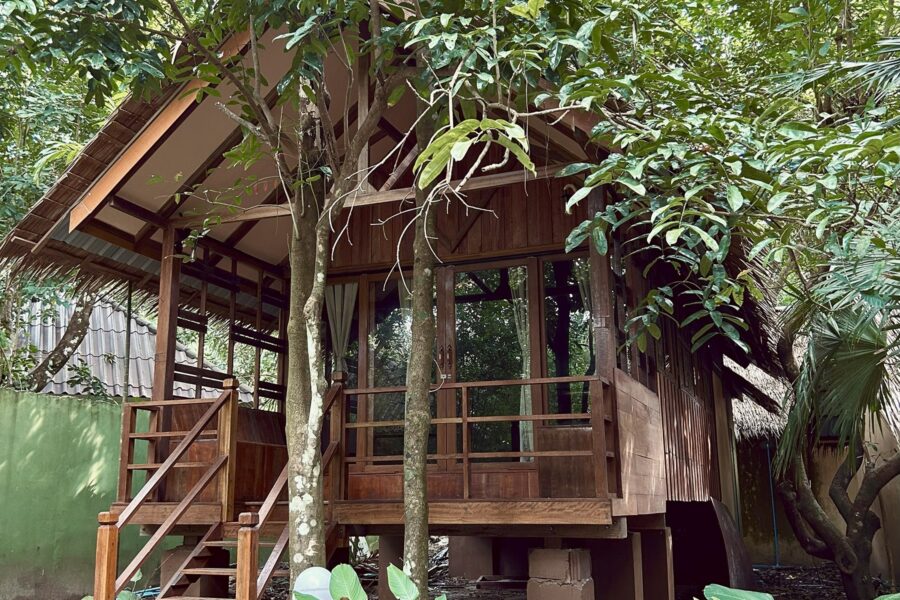 Jungle House