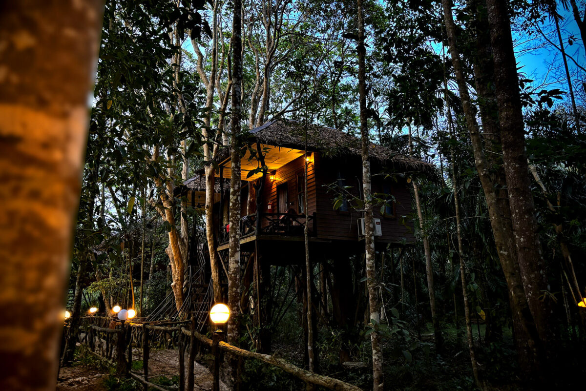 Bedroom in the trees