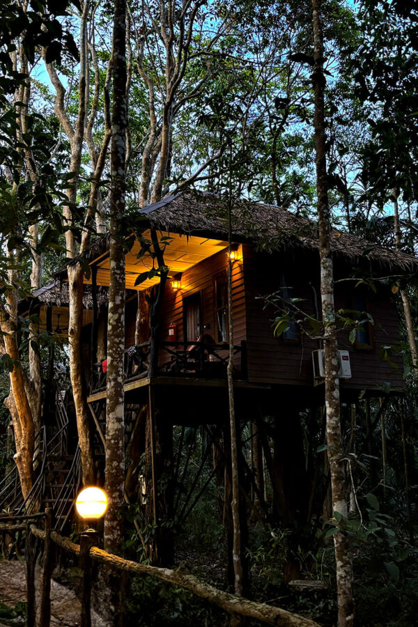 Chambre dans les arbres