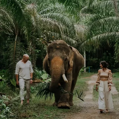 Romance dans la jungle