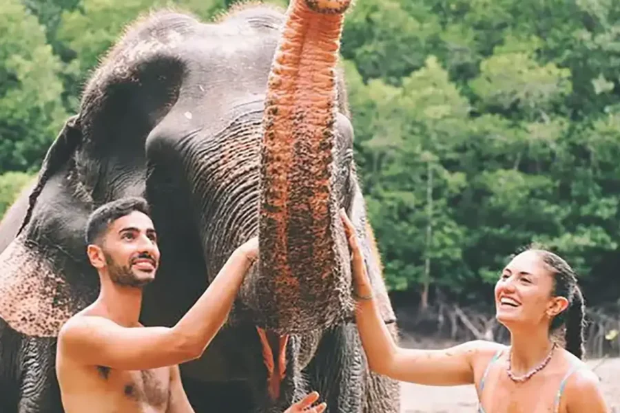 Romance in the wild