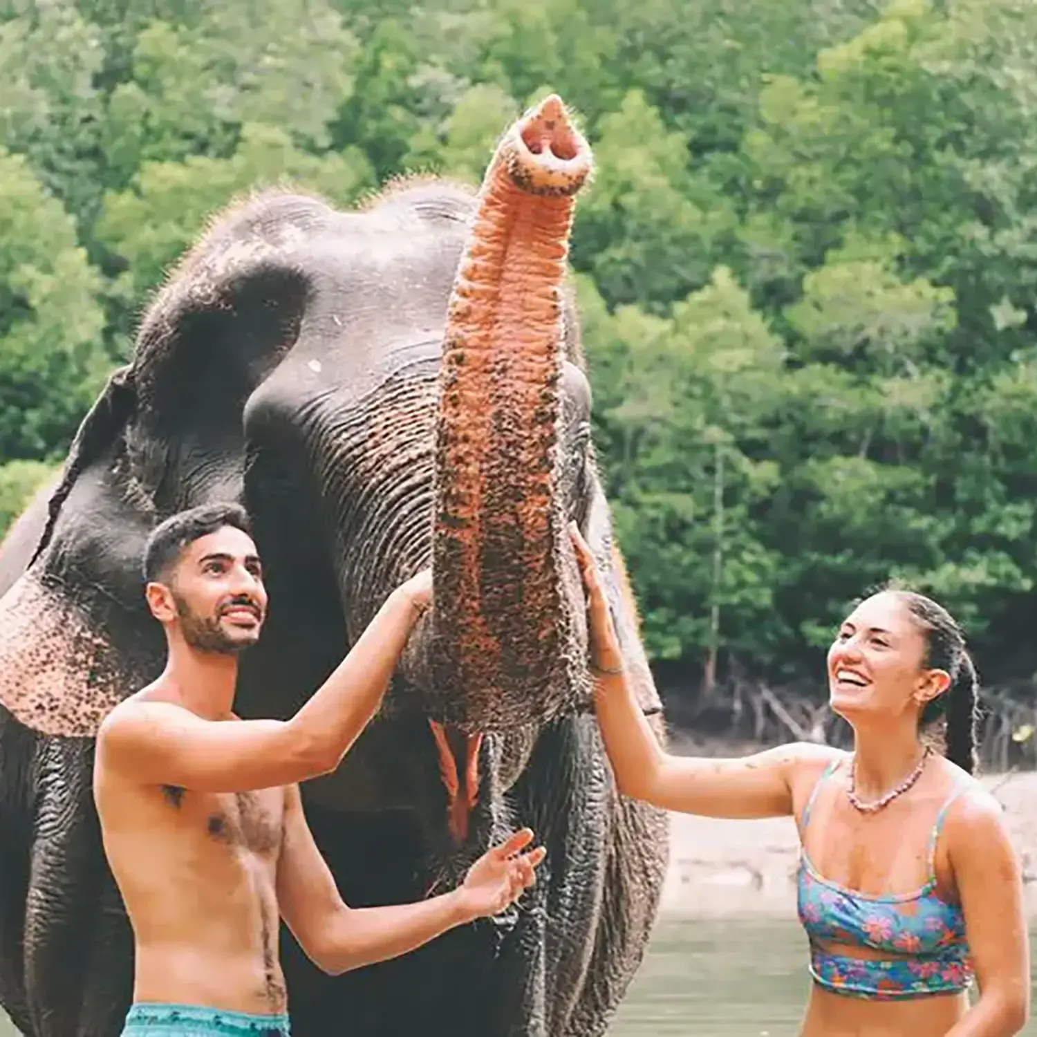 Romance in the wild