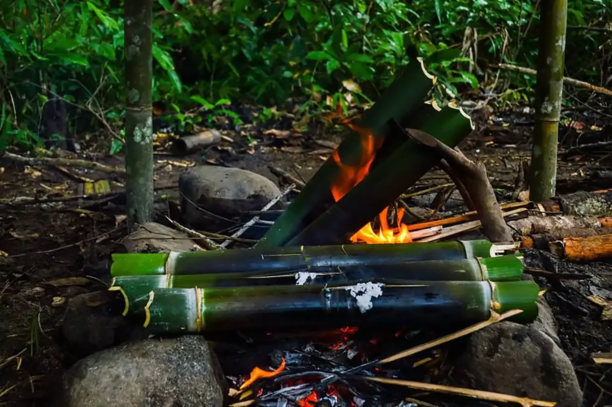 Khao Sok Survival Experience