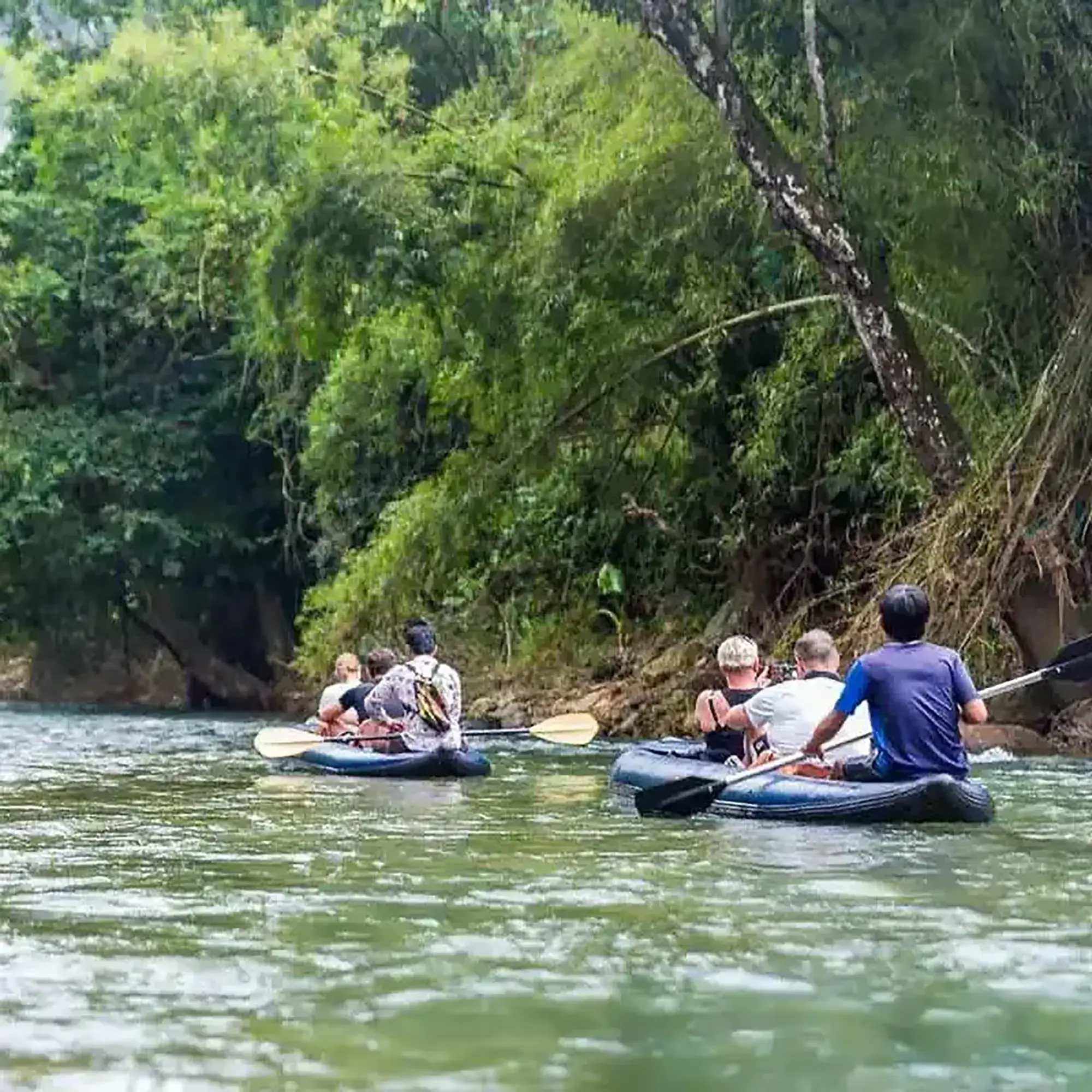 Khao Sok Adventure