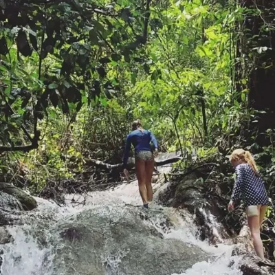 Escapade dans la forêt tropicale