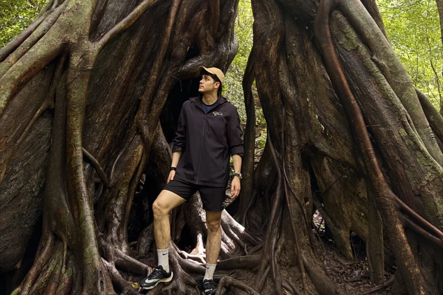 Jungle Taster