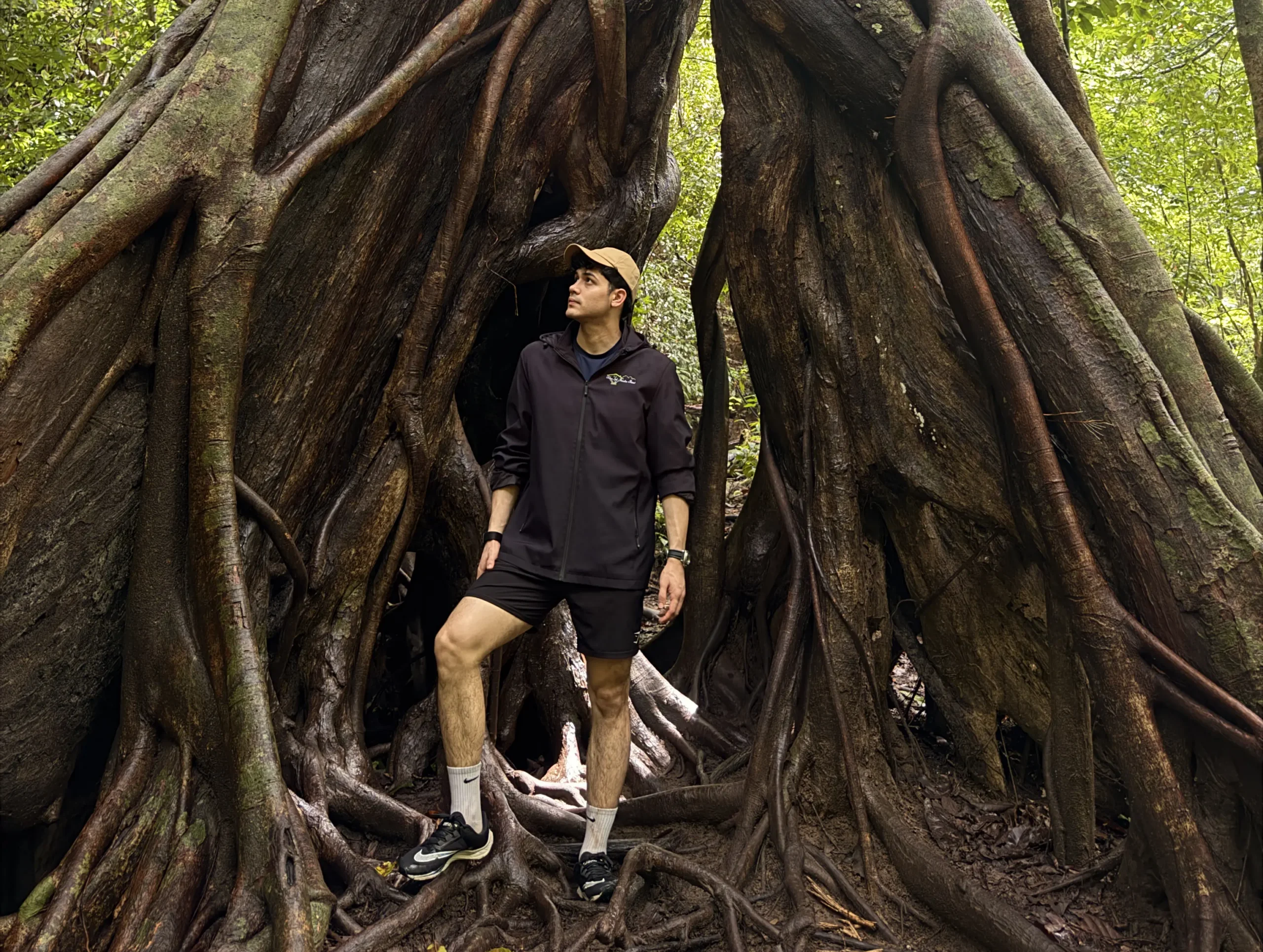 Jungle Taster