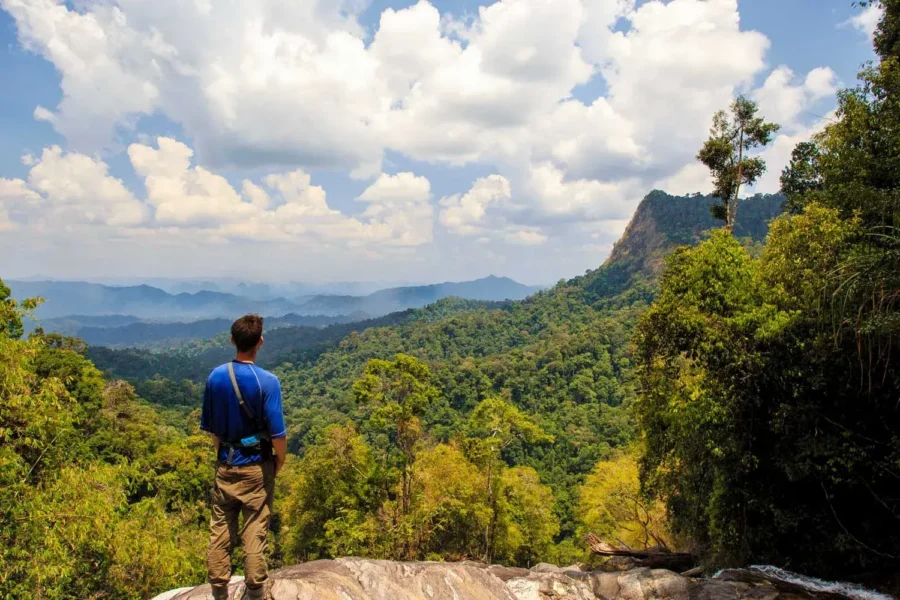 Khao Sok Essence