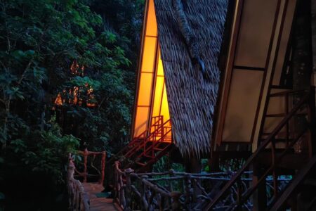 A-Frame Jungle House