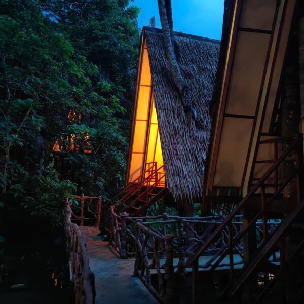 A-Frame Jungle House