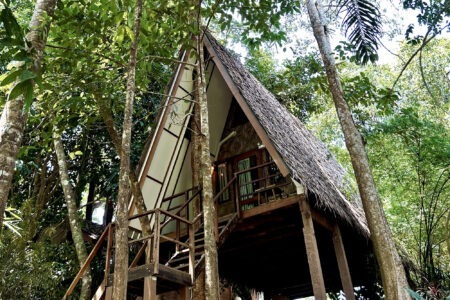 A-Frame Tree House