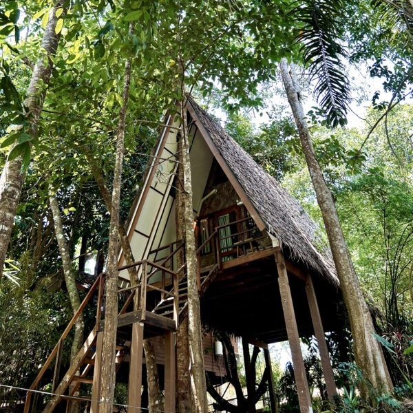 A-Frame Tree House