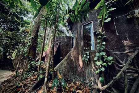 Honeymoon Tree Hut