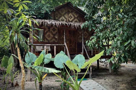 Jungle Mansion