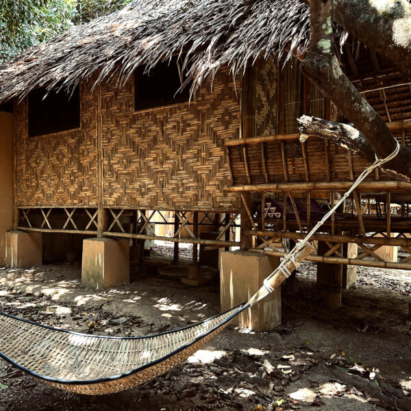 Thai Bamboo Jungle House