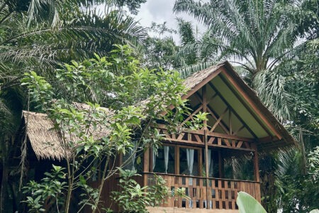 Family Jungle House