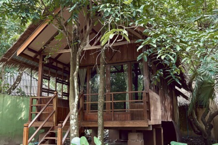 Jungle House
