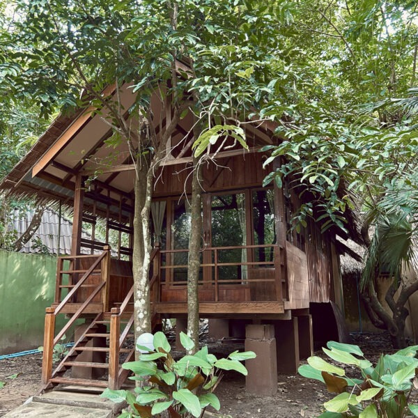 Jungle House