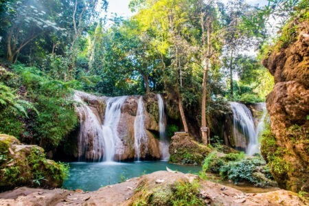 Escapade dans la forêt tropicale