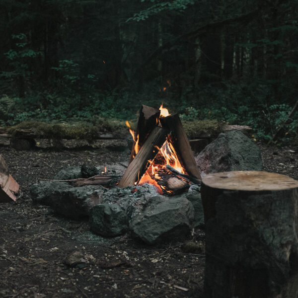 Expérience de survie dans la jungle